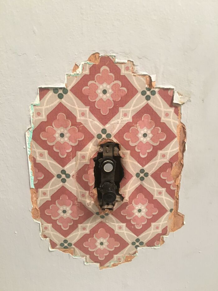 Check Out This Wallpaper I Found After I Removed One Of My Light Switch Covers