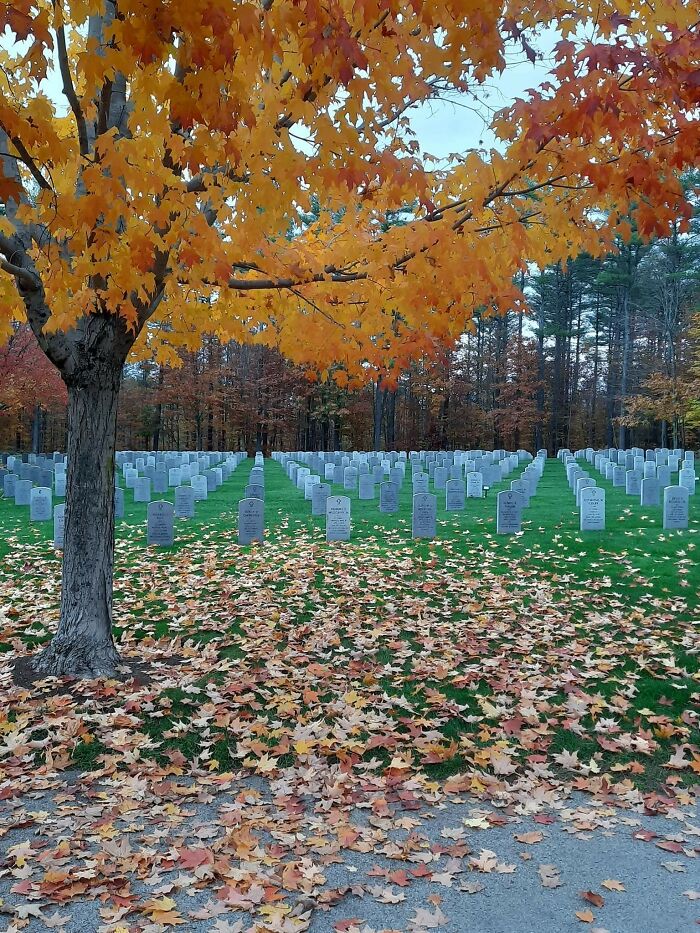 Cementerio de veteranos de guerra