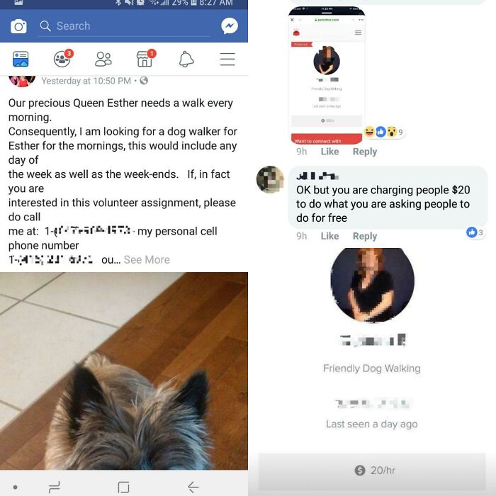 Woman Looking For Someone To Walk Her Dog Every Day For Free Gets Called Out In The Comments For Asking Someone To Do It Free When She Charges People $20/H To Walk Their Dogs