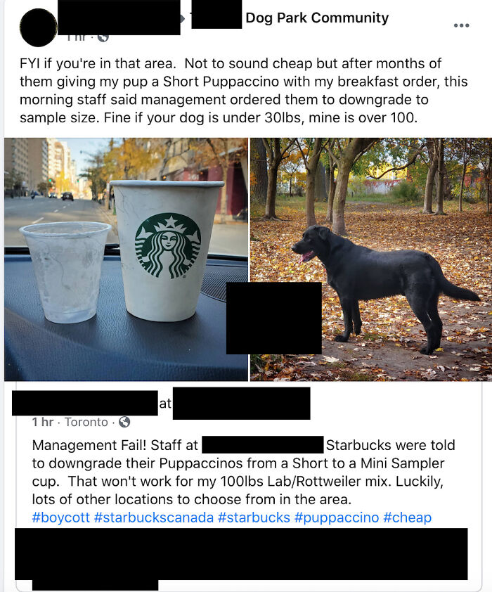Dog Park Karen Complaining Over The Size Of A Free Treat From Starbucks