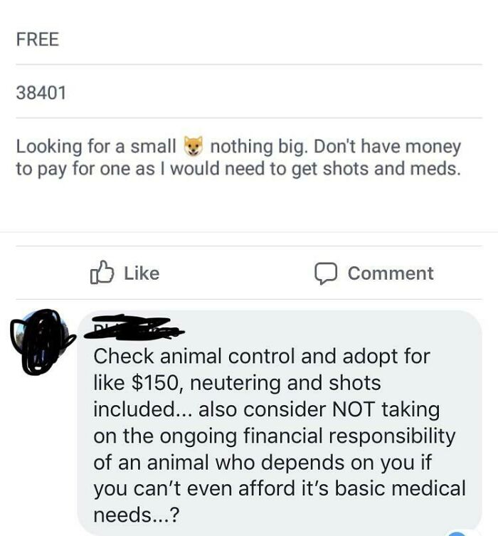 Free Dog On Buy Sell Trade Post