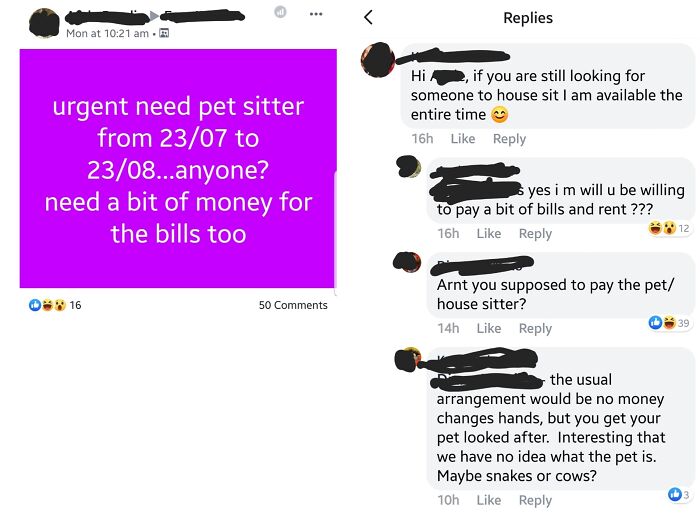 Lady Wants Someone To Pay Her For The Privilege Of Looking After Her Pets For A Month ?