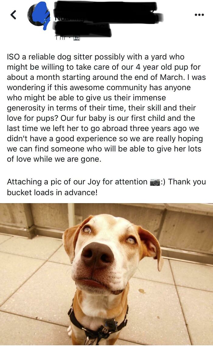 You Didn’t Have A “Good Experience” With Free Long-Term Pet Sitting? Shocking