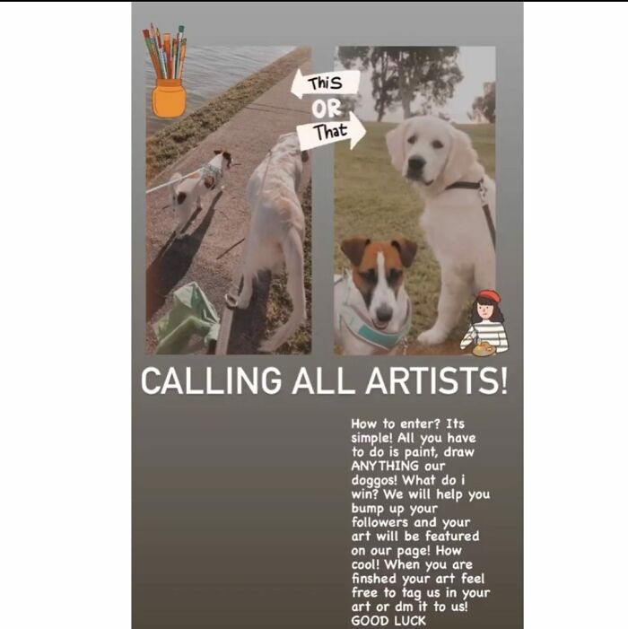 Just Got Sent This Via Instagram From A Page That Has 200 Followers. Seems Like A Way To Get Free Portrait Of Your Dogs Disguised As A Competition