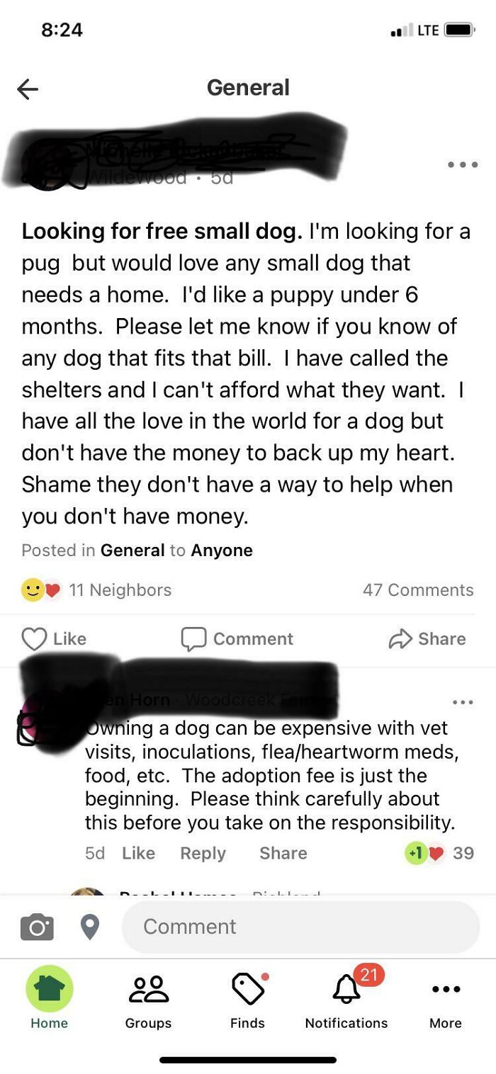 Dogs Are Expensive - Even If Your Heart Is Full Of Love