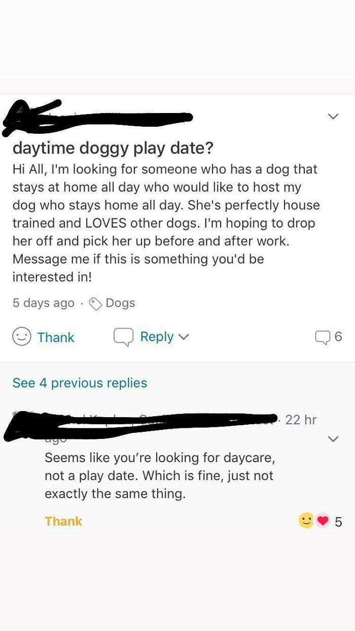 Looking For Doggy Playdates, But Not Willing To Pay Anything Or Host The Dogs At My House. This Neighbor Seems Fun