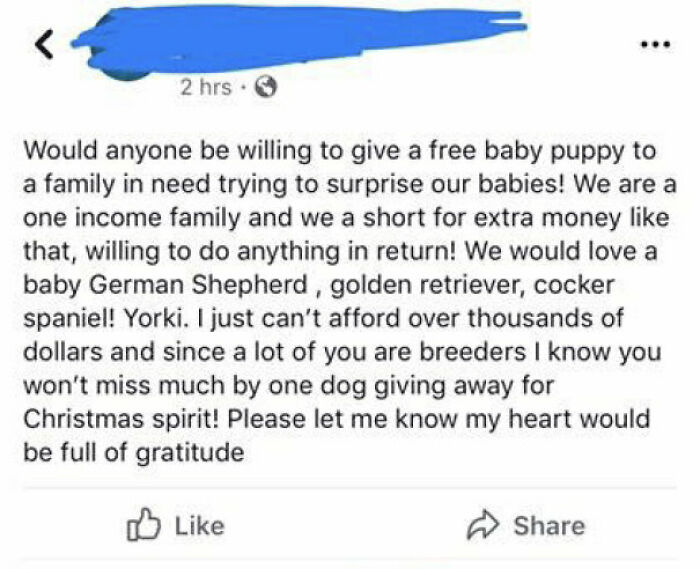 I’m Completely Broke And Can’t Afford To Care For A Dog, But Can I Please Have A Puppy For Free?