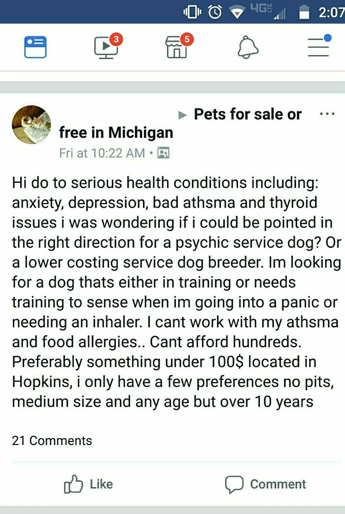 Wants A Psychic Dog