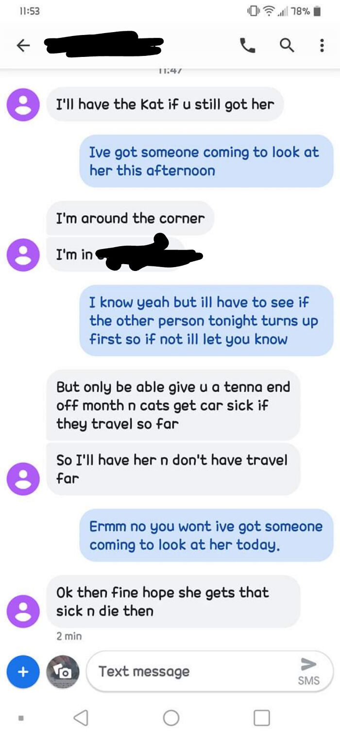 Giving Away A Cat On Facebook