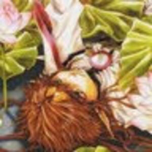 staceywilliams avatar