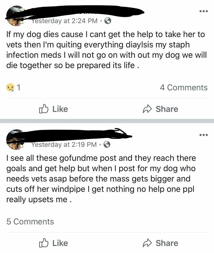 Won’t Take Her Dog To The Vet Until She Reaches Her Gofundme Amount. This Is How She Asks For Help