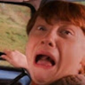 raidabiashraf avatar