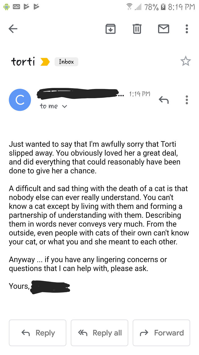 My Cat Passed Away Today, At Home. This Is The Email I Got From My Vet A Few Minutes After We Told Them What Happened