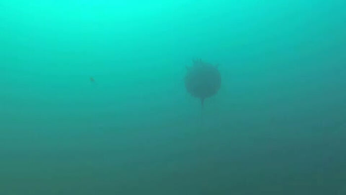 Naval Mine Found In Diving Trip