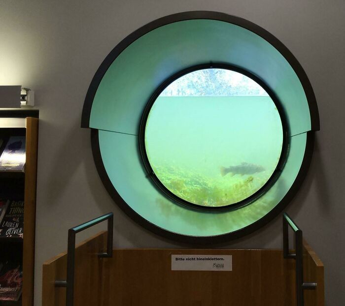 This Window In A Local Library That Goes Into A Creek