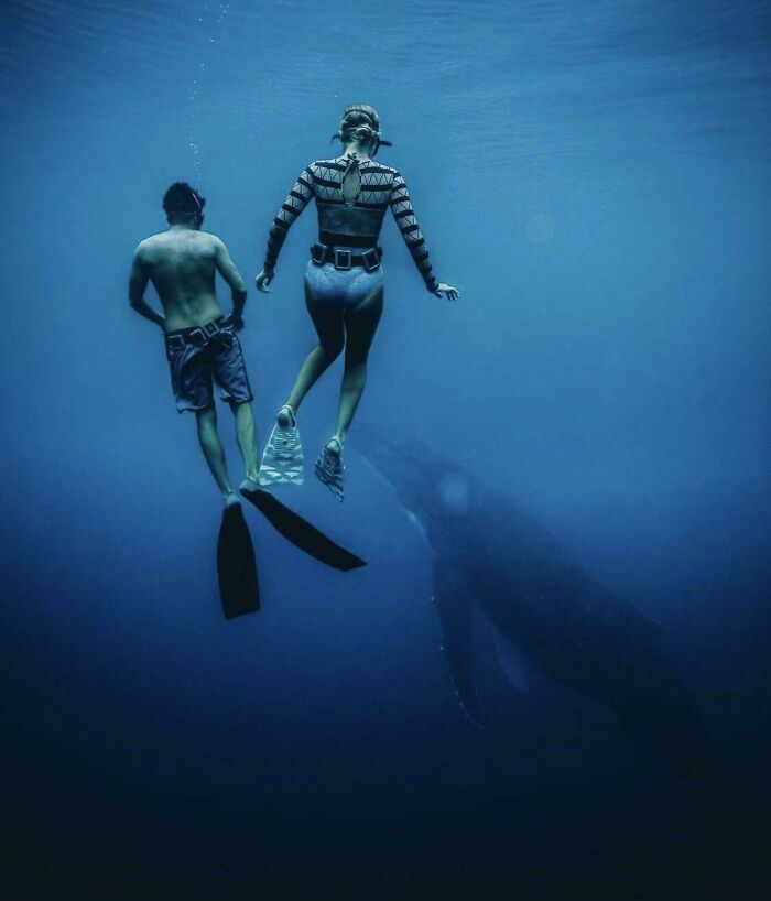 This Image Posted By Reef On Instagram
