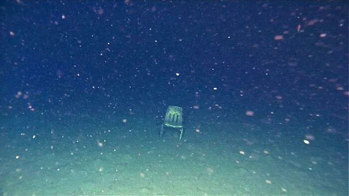 Have A Seat, Stay Awhile