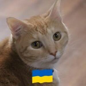 margaret_tonycornwall avatar