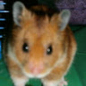 kathleenmckenna avatar