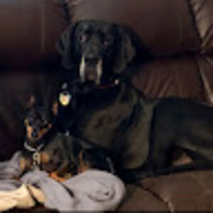 jenniferdavis_1 avatar