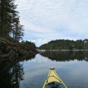 under_world_66_99 avatar