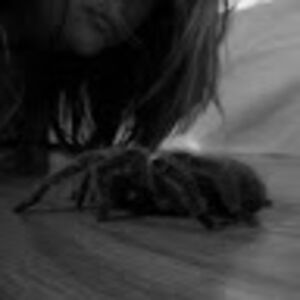 amandahansen_2 avatar