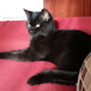 stefaniehoyer avatar