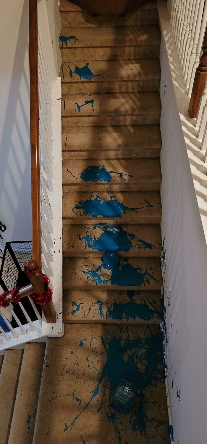 Dropped A 1/2 Gallon Of Paint Down The Stairs