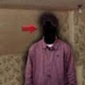 laurenleestudent avatar