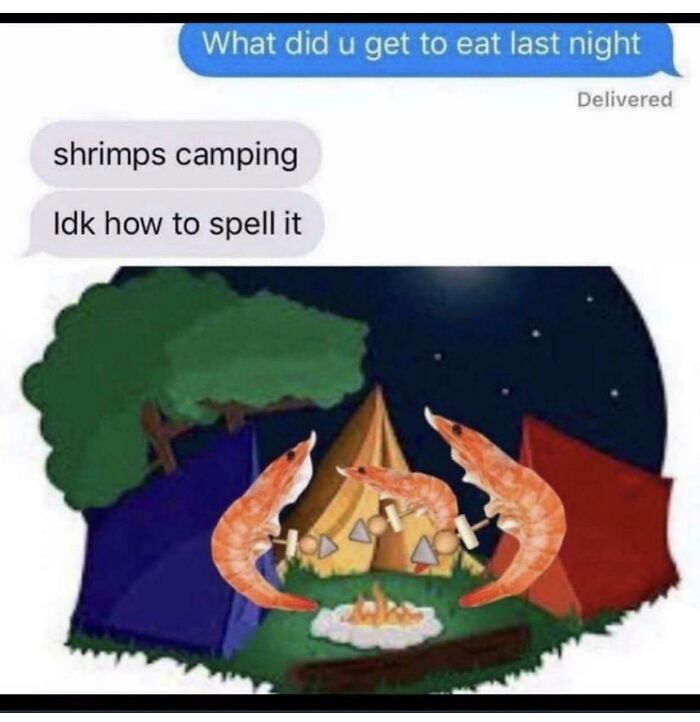 Shrimps Camping