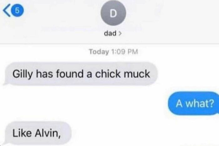 Alvin And The Chick Mucks