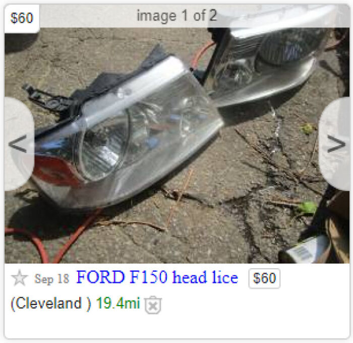Head Lice For Sale