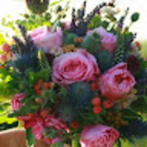 gardenhousefloralstudio avatar