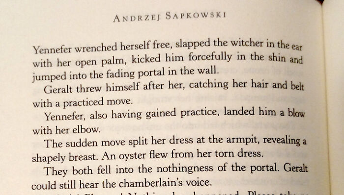 We Interrupt This Fight Scene For Important Male Fanservice (The Last Wish By Andrzej Sapkowski)