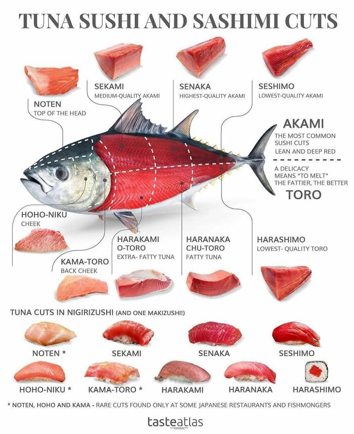 Tuna Sushi And Sashimi Cut Guide