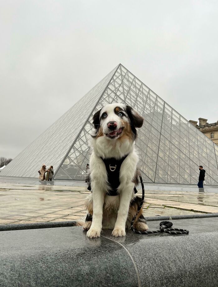 Trying To Take A Nice Picture In Front Of The Louvre