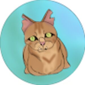 vuokkotoivakka avatar