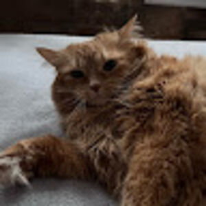 matthewpavelka avatar