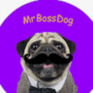 mrbossdog7441 avatar