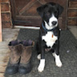 malcolmsolomon avatar