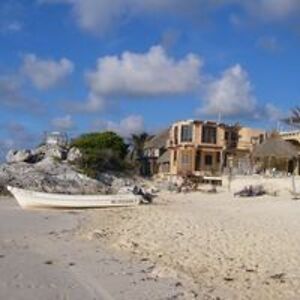 sarahdayal1230 avatar