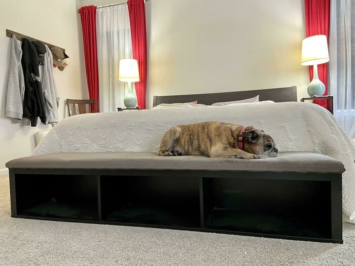 I Found An Hemnes Shelf In The As-Is Area And Upholstered Some Fabric To The Top To Help My Dogs Get On The Bed. They Could Never Use Pet Steps And This Is Shorter The Normal End Of Bed Furniture So They Are Able To Hop On It
