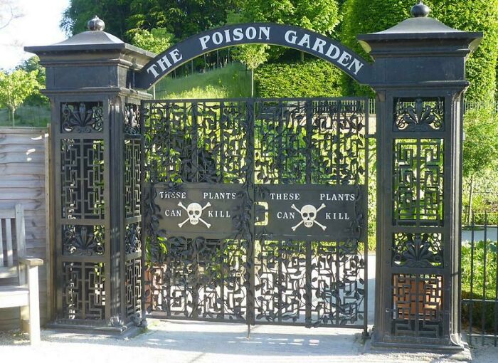 The Poison Garden (Alnwick Garden) Contains About 100 Plants That Can Actually Kill A Person