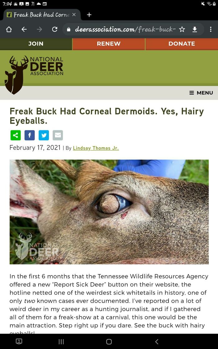 Deer With Hairy Eyeballs!!