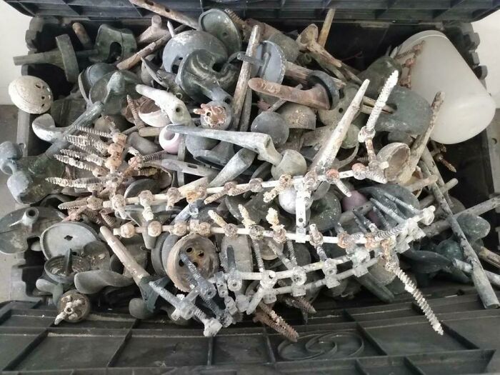 Titanium Implants Pulled From A Crematory