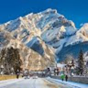 bernicemerryman avatar