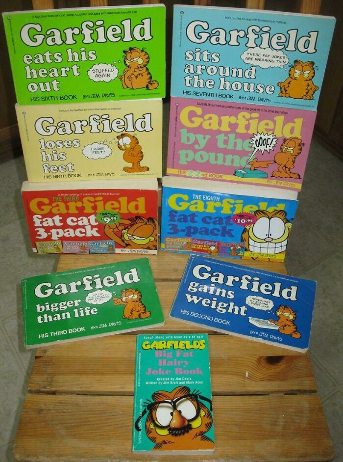 The Classic Rectangular Garfield Comic Books