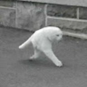 is_this_a_good_username avatar