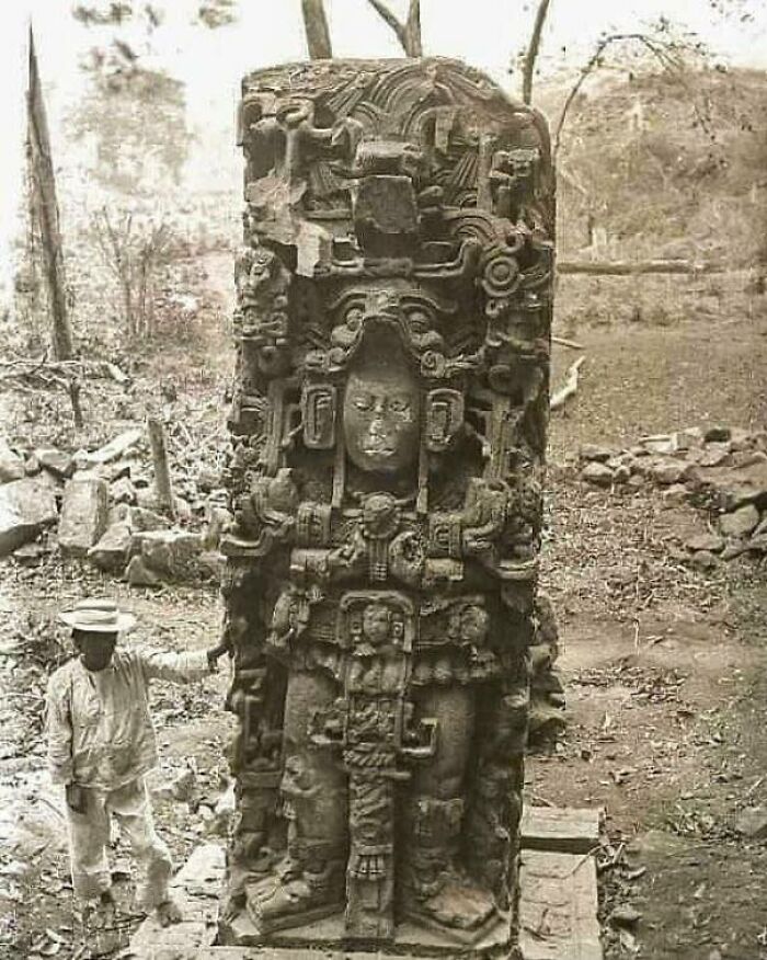 Vintage Photo Documenting The Discovery Of An Ancient Maya Statue Deep Within The Jungles Of Honduras (1885)