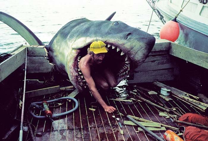On Set Of Jaws Movie, An Effectsman Repairs The Shark's Teeth. 1974